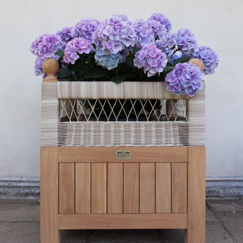 TEAK Holz-Blumenkübel Pflanzenkübel Pflanzenbox Hortensie