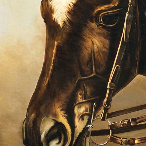 treue Augen des Pferdes Bild