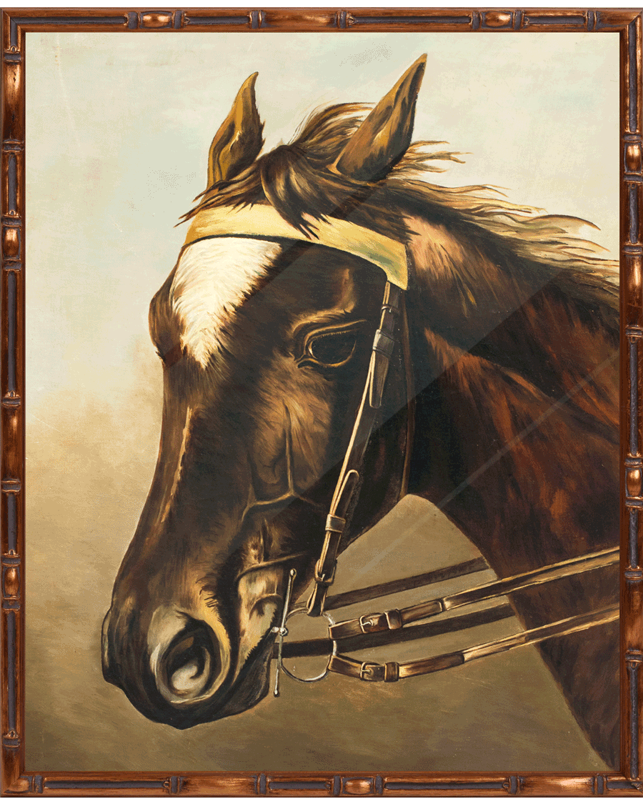 Porträt eines pferdes als Bild