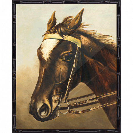 Porträt eines pferdes als Bild eingerahmt in Bidlerrahmen